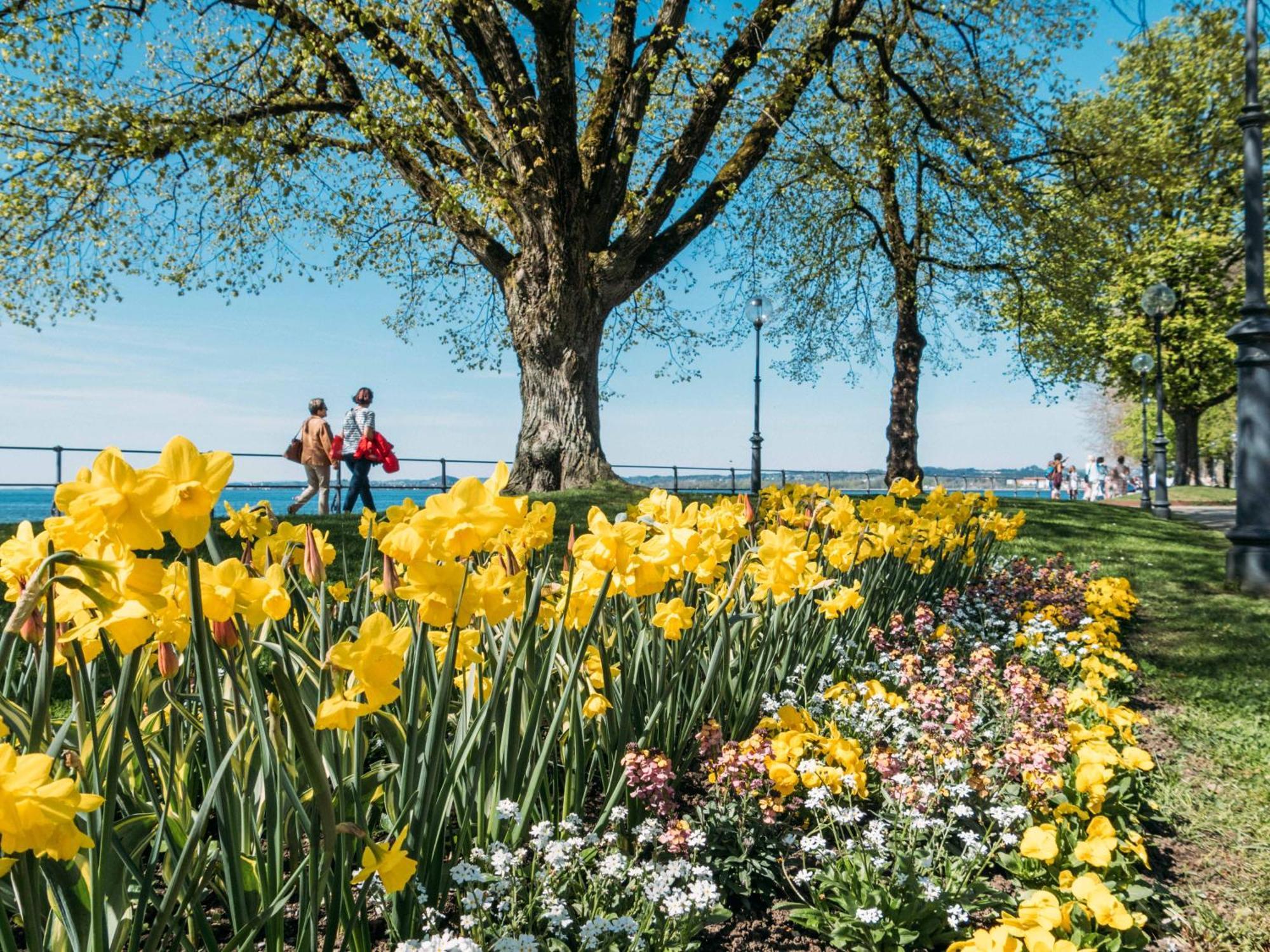 Seeblick Bregenz - Mit Parkgarage Exterior foto